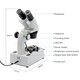 Bra Pris Fable Gemological Binocular Microscope FGM-U2-19 Professionellt stereomikroskop för ädelstenar och smycken Köp Nu!